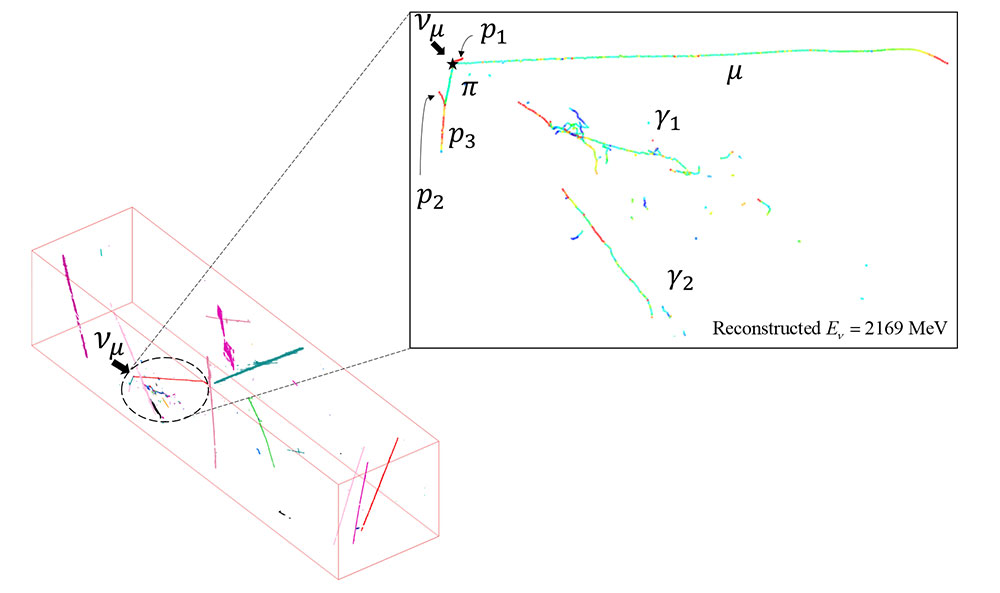 close-up view of a muon neutrino argon interaction