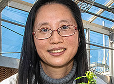 Photo of Xiao-Hong Yu